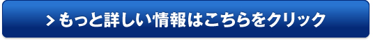 アクセラスポーツ カスタム販売サイトへ